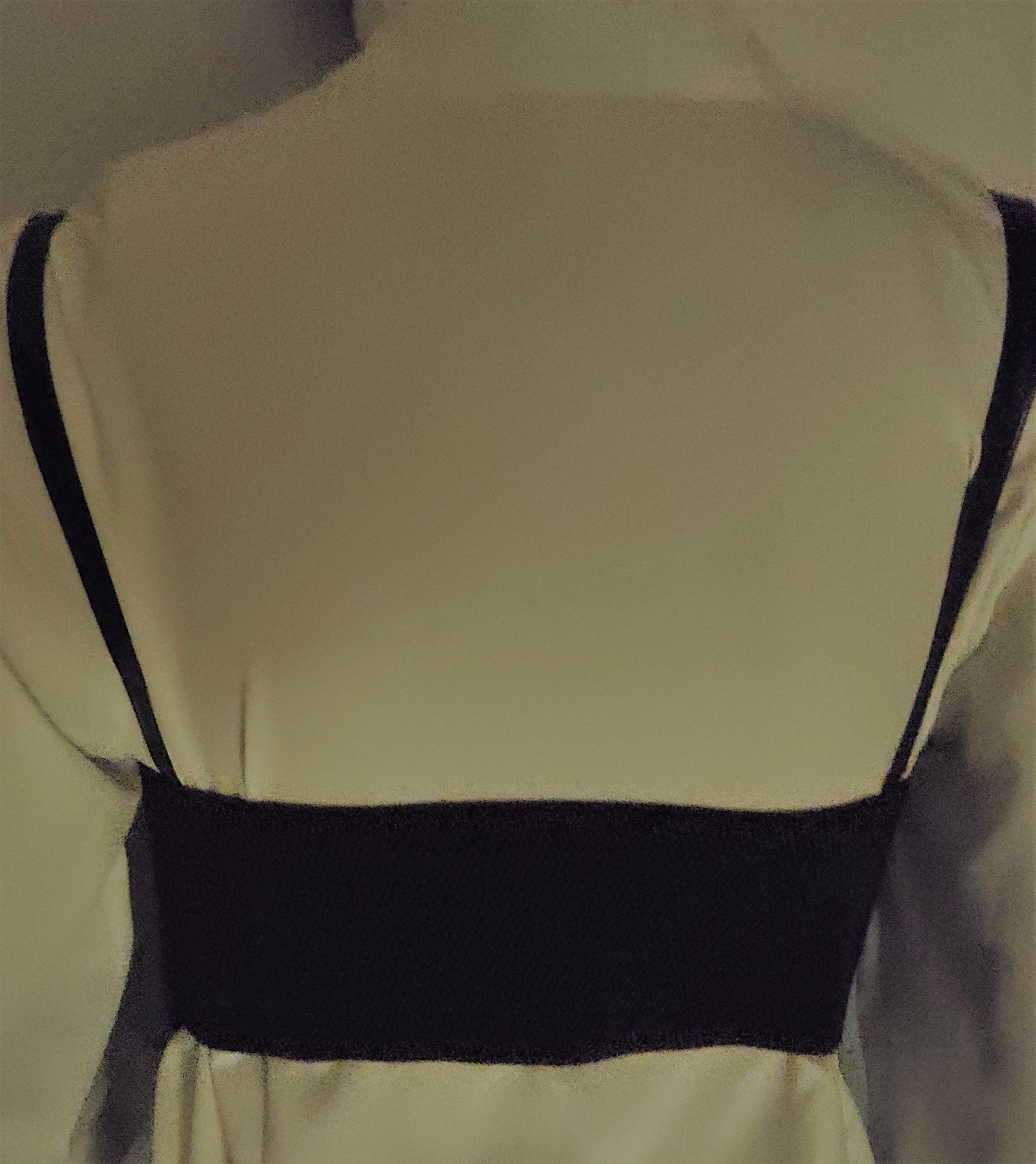 adult ladies dark brown renaissance steampunk adjustable under the breast corset  belt costume